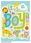 Peaceable Kingdom | Gift Enclosure (2⅜" x 3⅛" blank card) Gift Card Peaceable Kingdom It's A Boy Yay!  