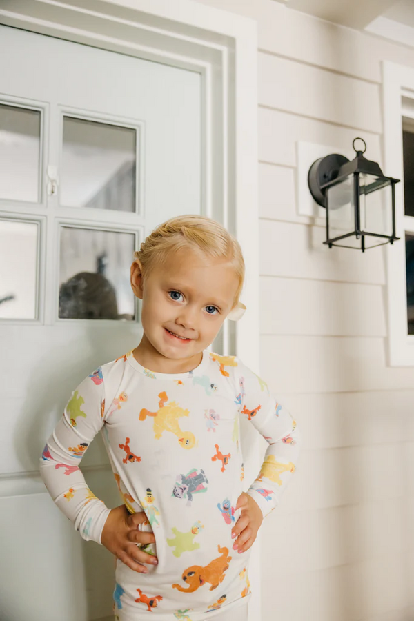 Copper Pearl x Sesame Street | 2 Piece Long Sleeve Pajama Set ~ Sesame Friends Clothing Copper Pearl   