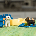 Schleich | Farm World ~ Puppy Pen Toys Schleich   