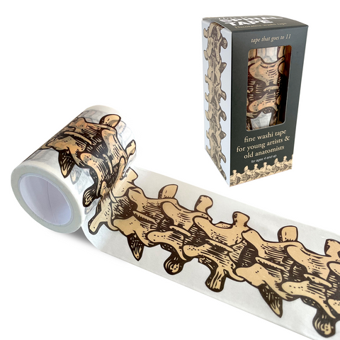 Copernicus Toys - This is Spinal Tape Washi Tape Toys Copernicus Toys   