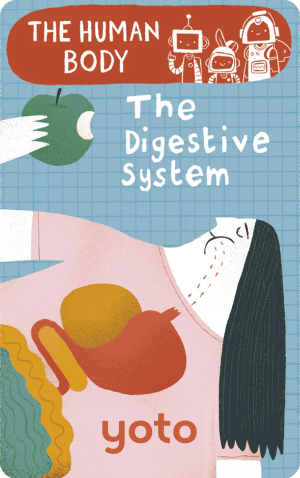 Yoto Single Card ~ The Human Body - The Digestive System Toys Yoto   
