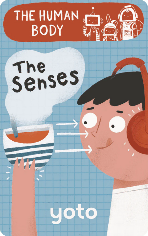Yoto Single Card ~ The Human Body - The Senses Toys Yoto   