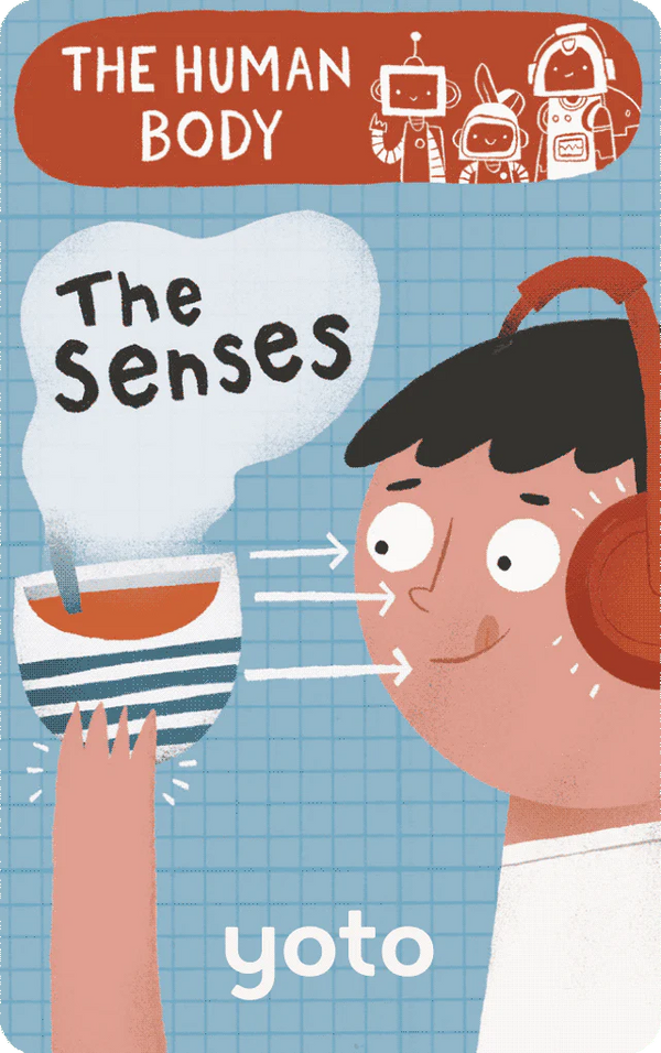Yoto Single Card ~ The Human Body - The Senses Toys Yoto   